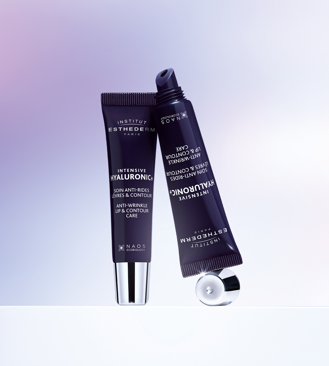 Immagine piccola in alto