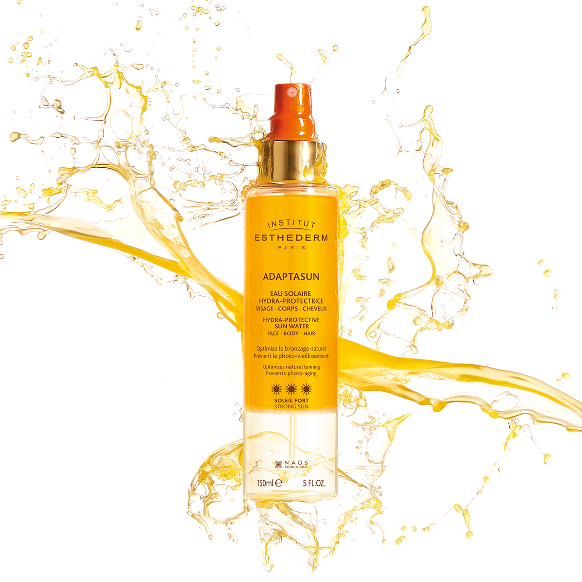 Immagine piccola in basso