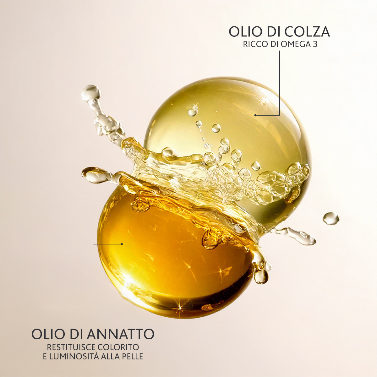 Immagine piccola in alto