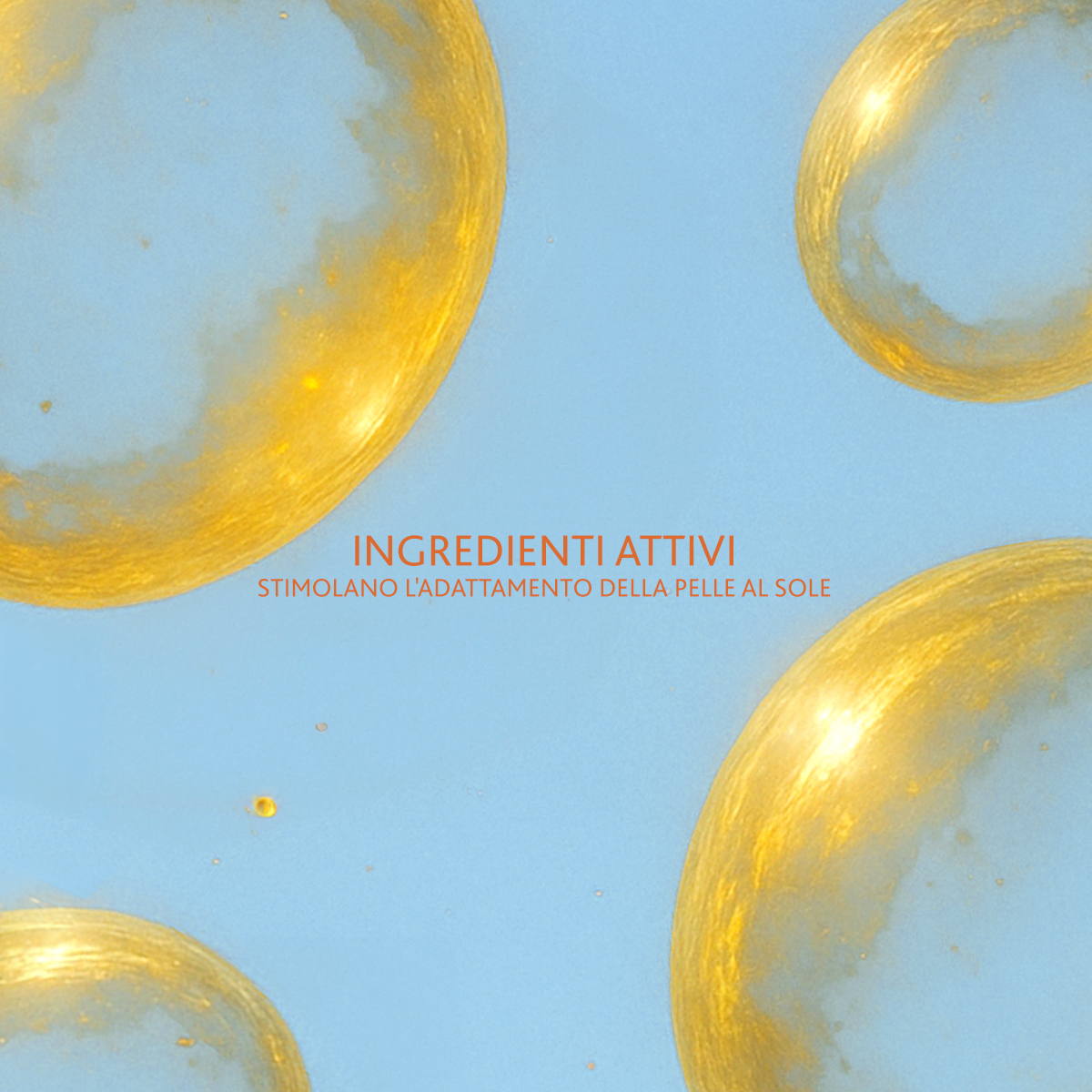 Immagine piccola in alto