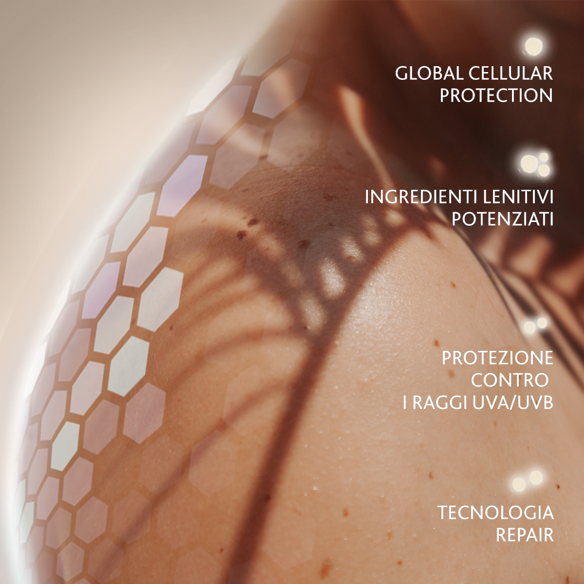 Immagine grande sinistra